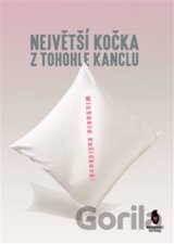 Největší kočka z tohohle kanclu