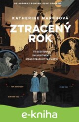 Ztracený rok