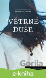 Větrné duše