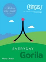 Chineasy Everyday