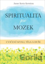 Spiritualita pro mozek