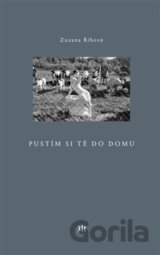 Pustím si tě do domu