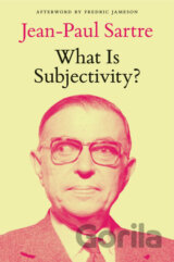 What is Subjectivity?
