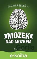 Mozek nad mozkem