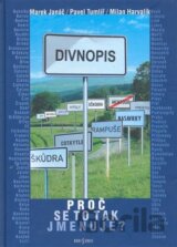 Divnopis