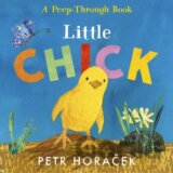 Little Chick