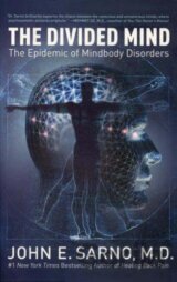 The Divided Mind