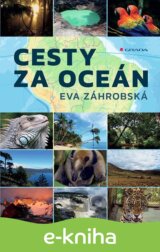 Cesty za oceán