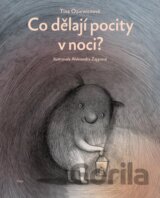 Co dělají pocity v noci?