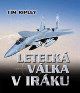 Letecká válka v Iráku