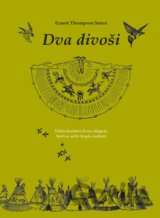 Dva divoši