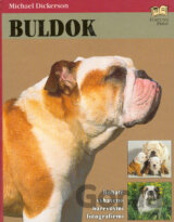 Buldok