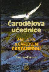 Čarodějova učednice