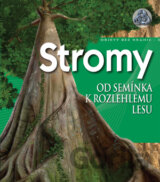 Stromy