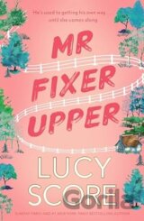 Mr. Fixer Upper