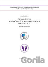 Účtovníctvo rozpočtových a príspevkových organizácií