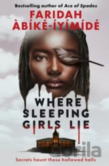 Where Sleeping Girls Lie