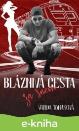 Bláznivá cesta za snem