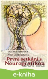 První setkání s neurografikou