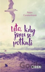 Léto, kdy jsme se potkali