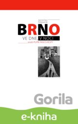 Brno ve dne v noci aneb Pupík paní Evropy