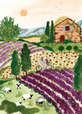 Provence