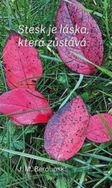 Stesk je láska, která zůstává