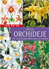 Orchideje