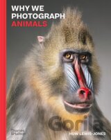 Why We Photograph Animals