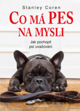 Co má pes na mysli