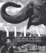 Ylla