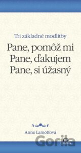 Pane, pomôž mi. Pane, ďakujem. Pane, si úžasný.