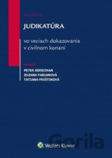Judikatúra vo veciach dokazovania v civilnom konaní