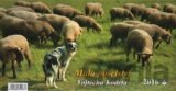 Kalendář 2016 -  Malá poselství Vojtěcha Kodeta