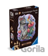 Kouzelná kočka