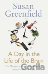 A Day in the Life of the Brain