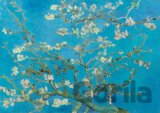 Vincent Van Gogh - Almond Blossom, 1890