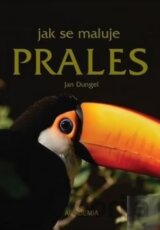 Jak se maluje prales