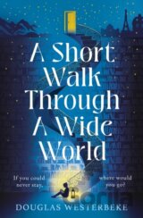 A Short Walk Through a Wide World