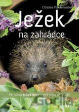 Ježek na zahrádce - Pichlavá návštěva v přírodní zahradě