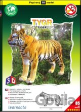 Tygr