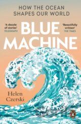 Blue Machine