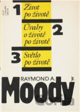 Život po životě ; úvahy o životě a smrti