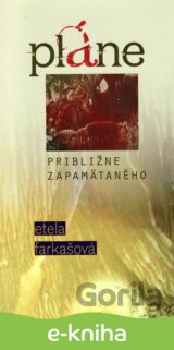 Pláne približne zapamätaného