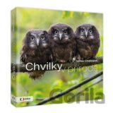 Chvilky v přírodě