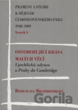 Osvobozující krása malých věcí