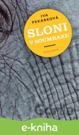 Sloni v soumraku