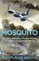 Mosquito