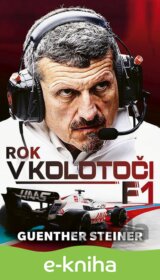 Rok v kolotoči F1