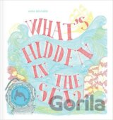 What's Hidden in the Sea?
